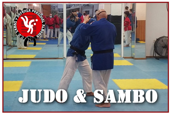 Comparativa entre Judo Y Sambo en Almería