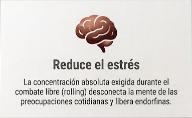 Clases de Jiu-Jitsu Brasileño en Almería | BJJ para Adultos y Jóvenes