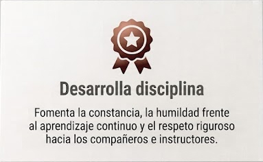 Clases de Jiu-Jitsu Brasileño en Almería | BJJ para Adultos y Jóvenes