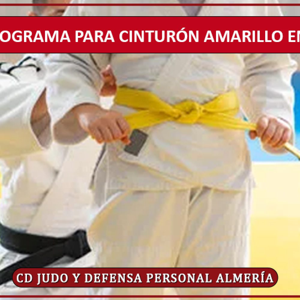 Centros de artes marciales y defensa personal - Aprende Defensa Personal.  Gana en Seguridad