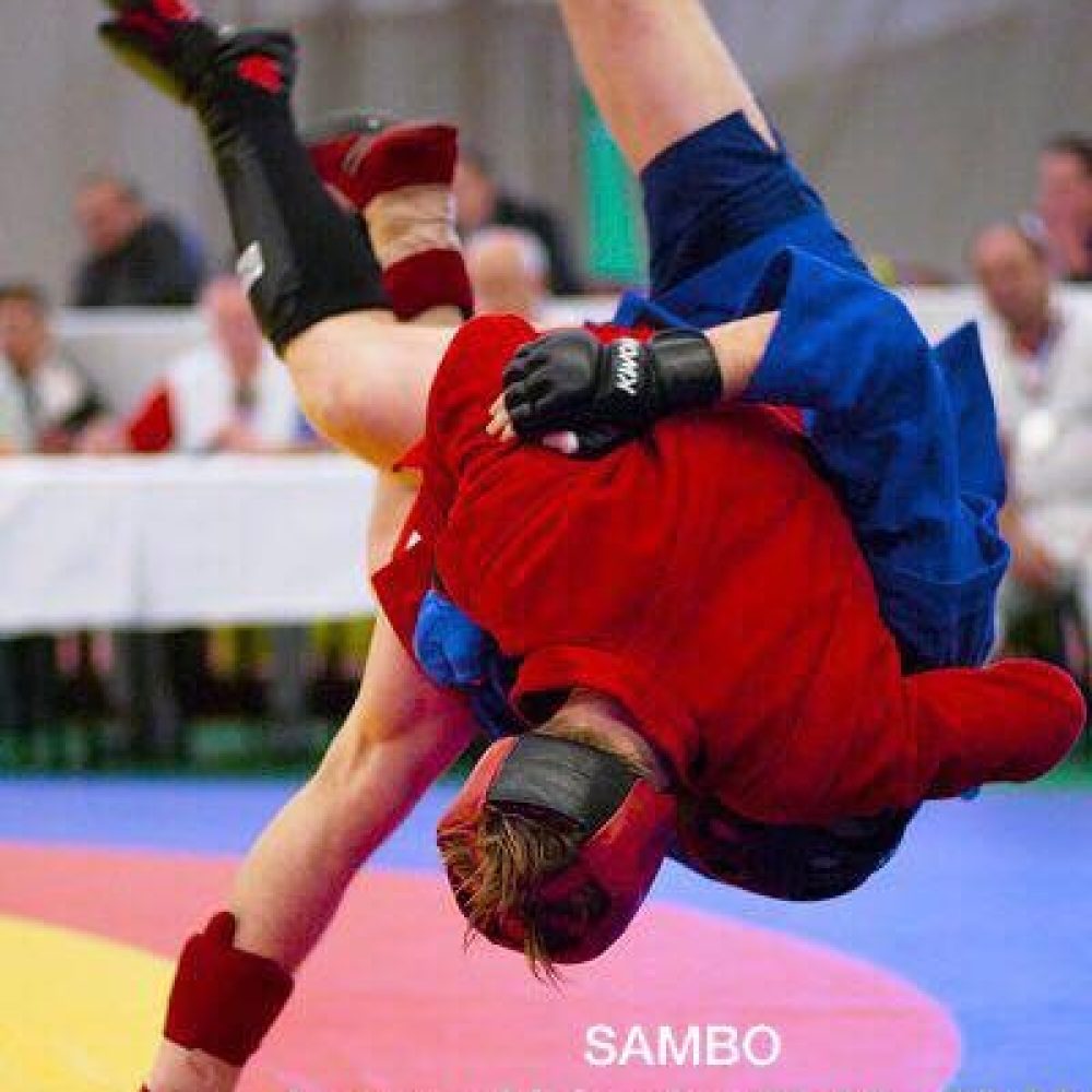 Clases de Sambo.