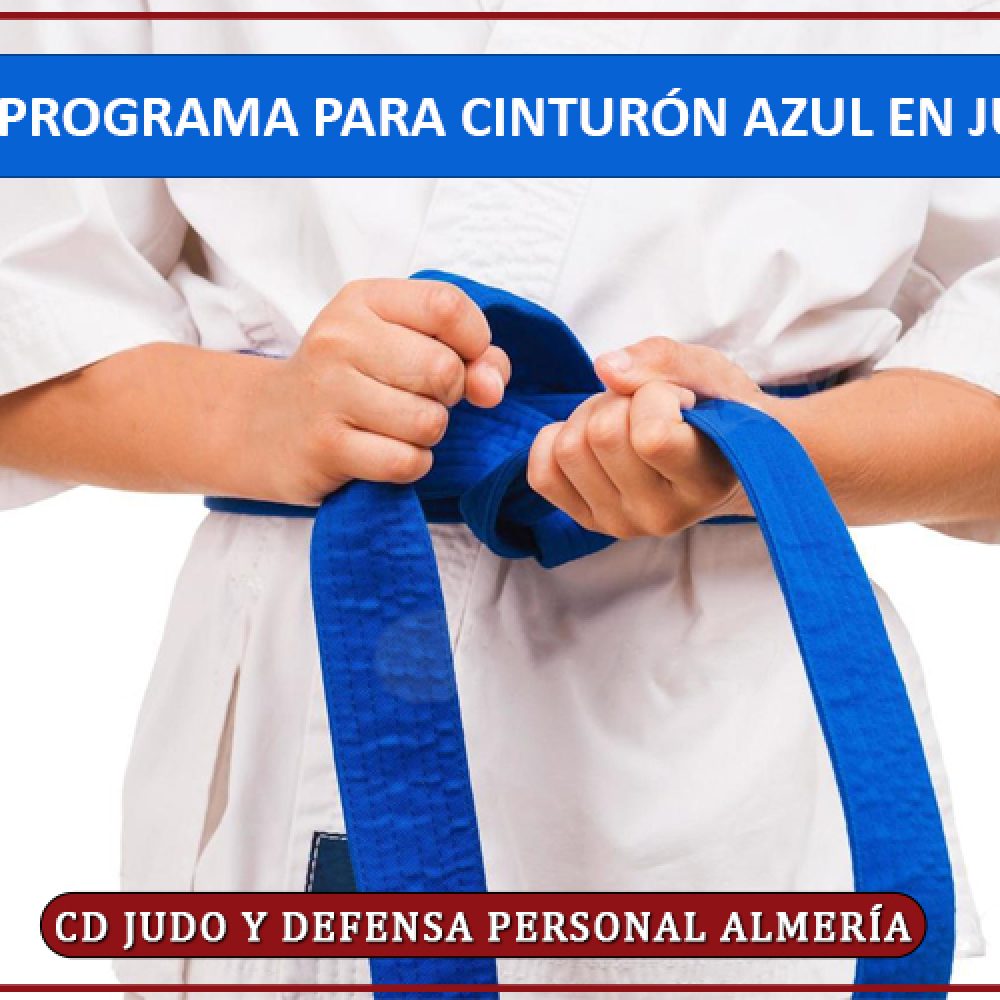 PROGRAMA PARA CINTURÓN AZUL EN JUDO