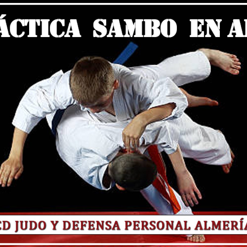 Descubre el Fascinante Mundo del Sambo