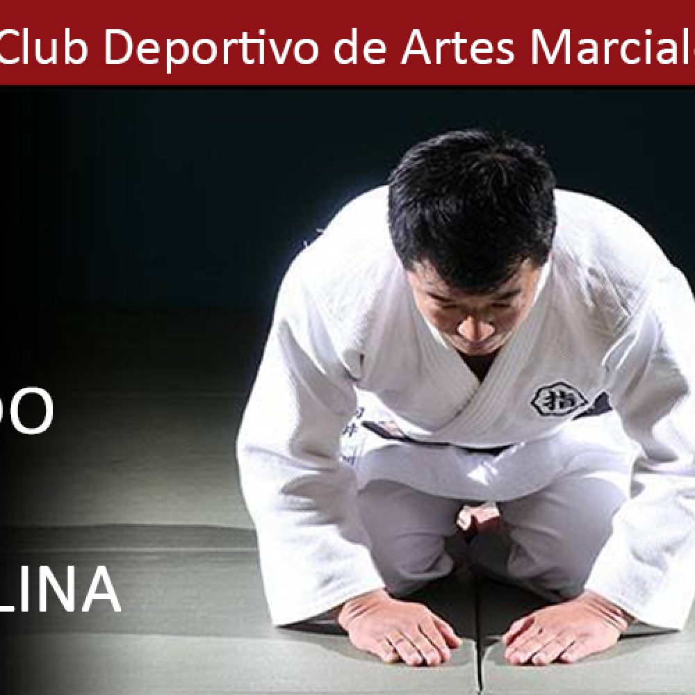 El Judo como Disciplina