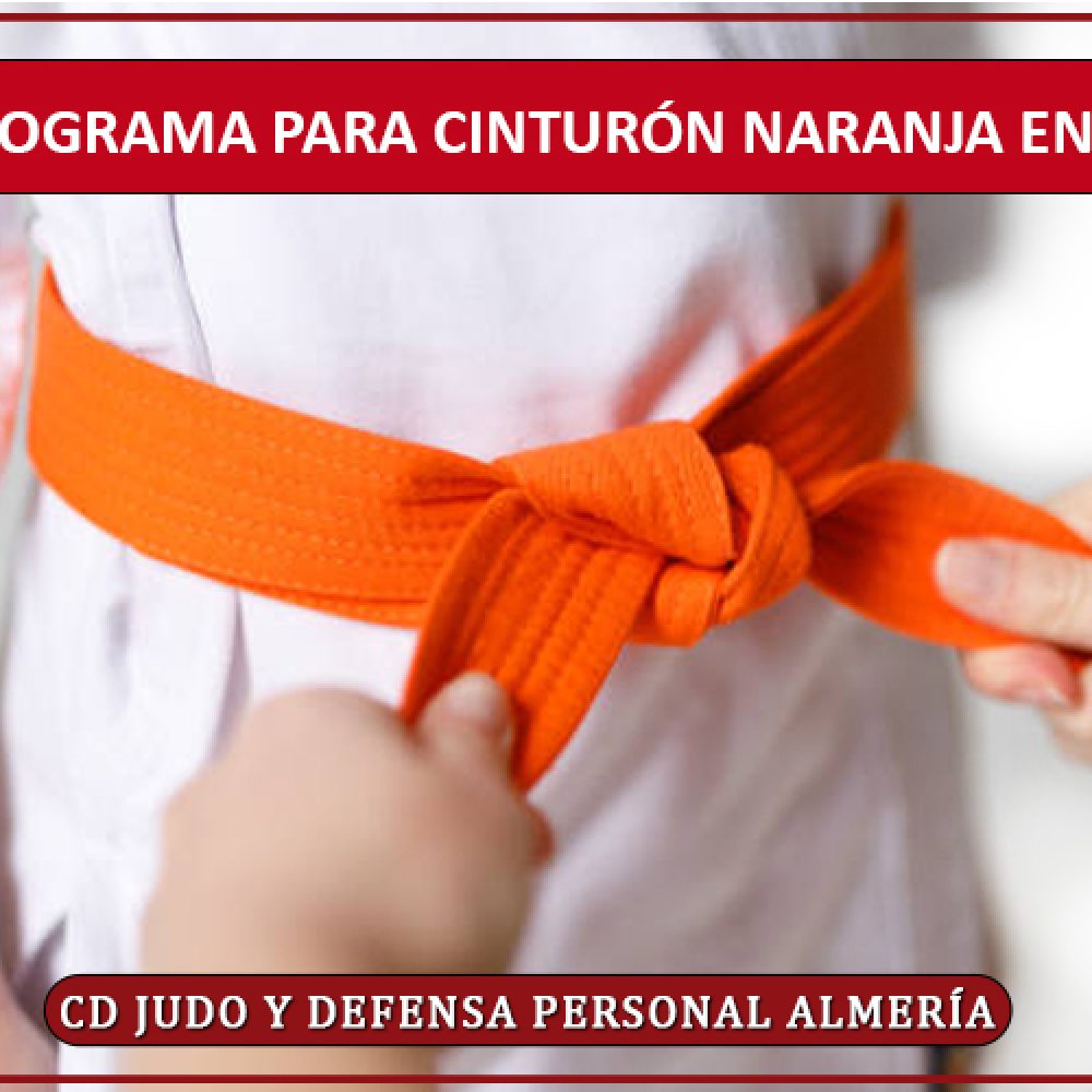 PROGRAMA PARA CINTURÓN NARANJA EN JUDO