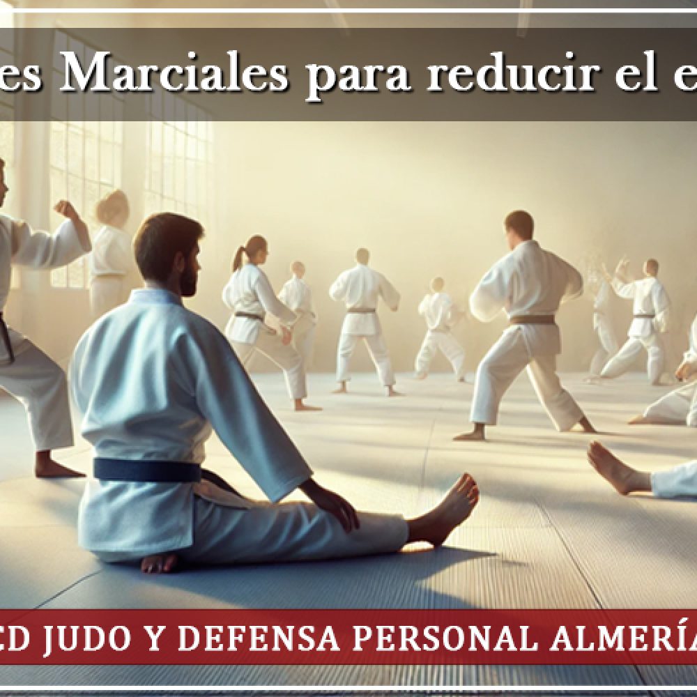 Cómo las Artes Marciales Ayudan a Manejar el Estrés