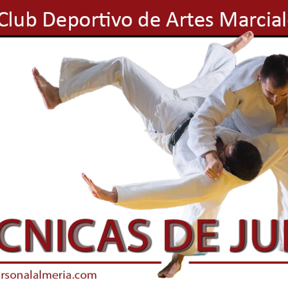 Técnicas de Judo