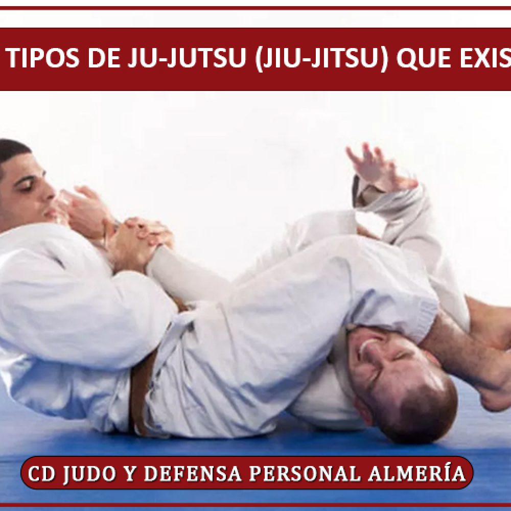 Diferentes tipos de Ju-Jutsu (Jiu-Jitsu) que existen