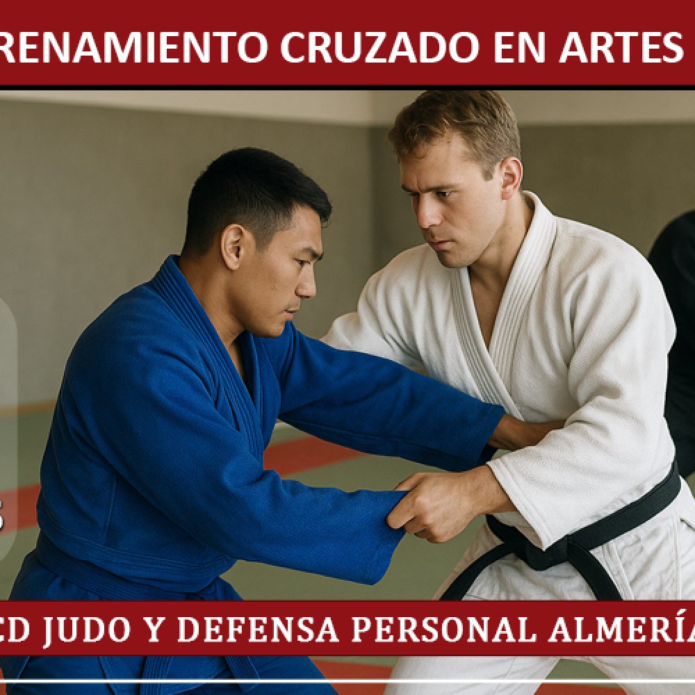 Entrenamiento cruzado en Artes Marciales