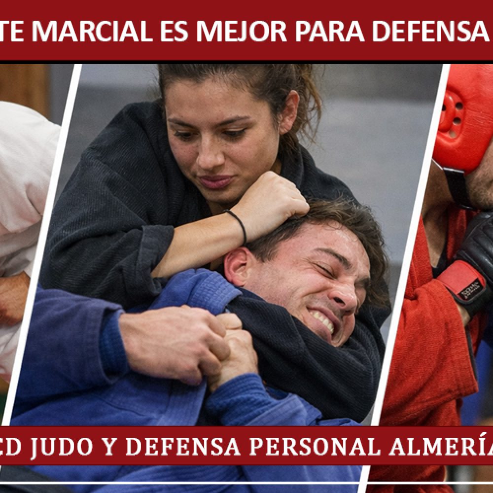 ¿Qué arte marcial es mejor para defensa personal real?