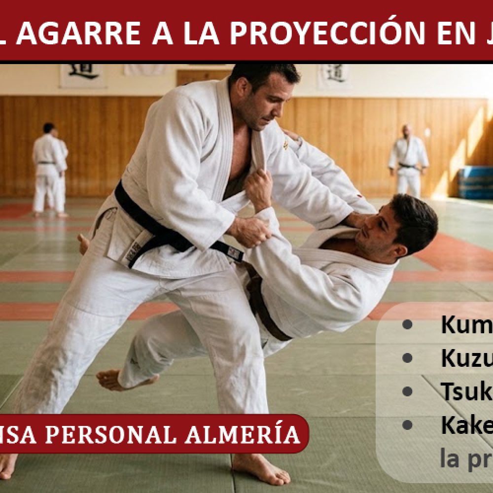 Del agarre a la proyección en Judo